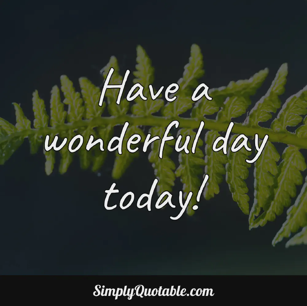 Have a wonderful day today