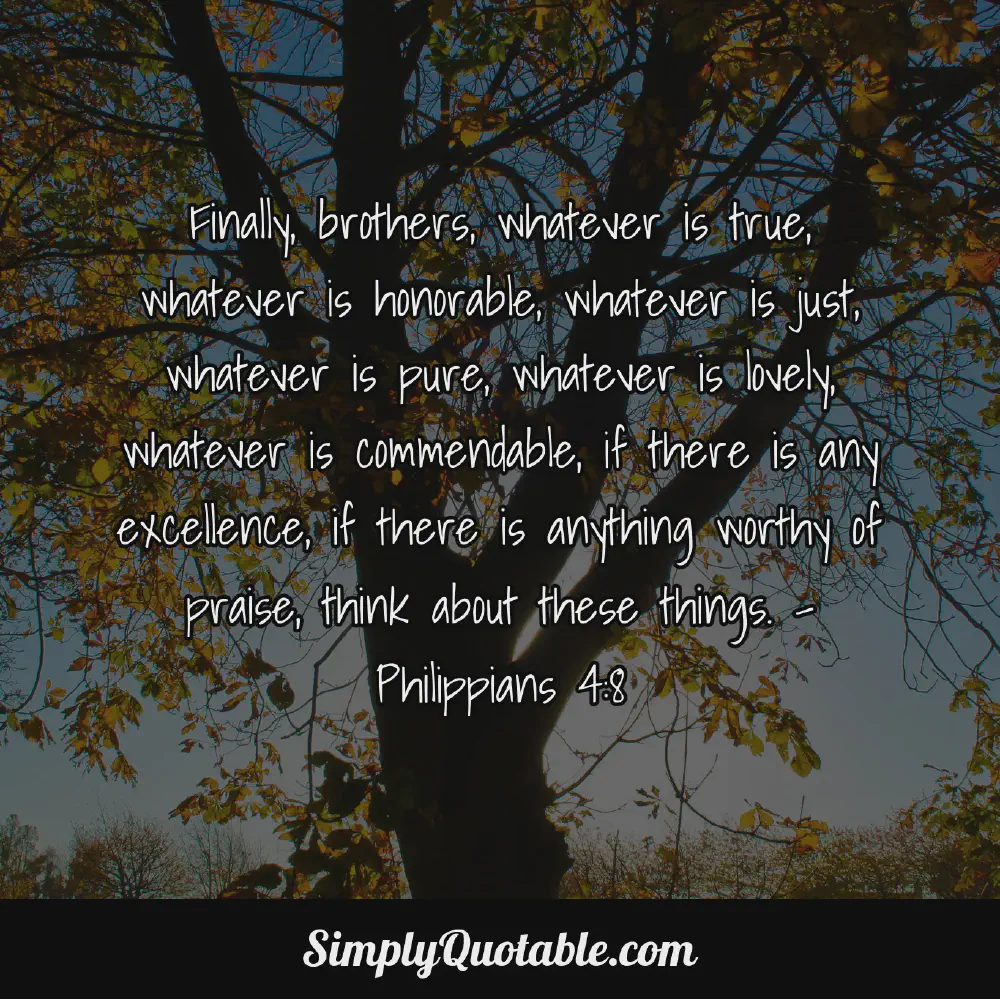 Finally brothers whatever is true whatever is honorable whatever is just whatever is pure whatever is lovely whatever is commendable if there is any excellence if there is anything worthy of praise think about these things  Philippians 48