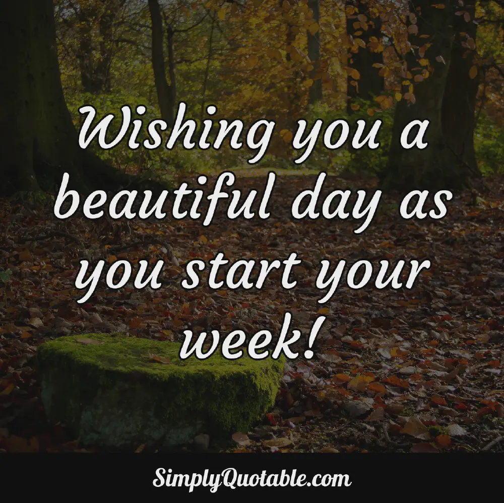 Wishing you a beautiful day as you start your week