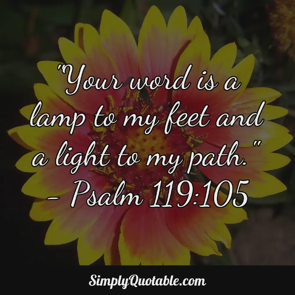 Your word is a lamp to my feet and a light to my path  Psalm 119105