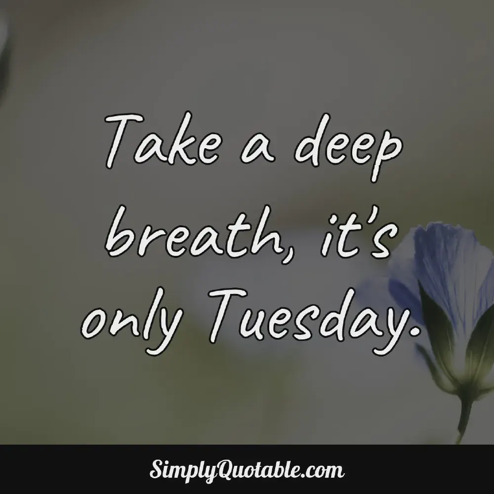 Take a deep breath its only Tuesday