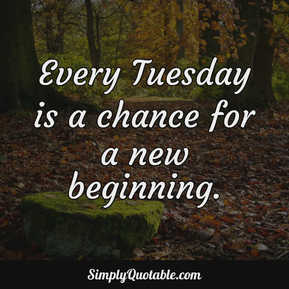 Every Tuesday is a chance for a new beginning