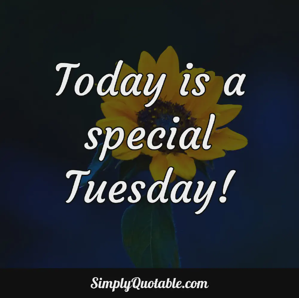 Today is a special Tuesday