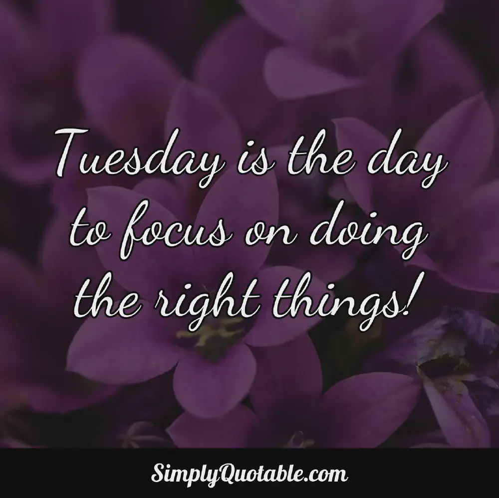 Tuesday is the day to focus on doing the right things