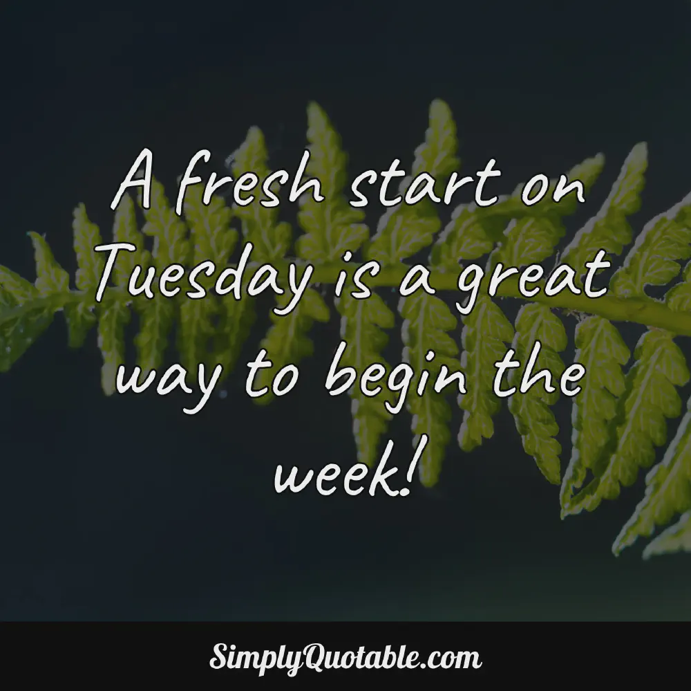 A fresh start on Tuesday is a great way to begin the week