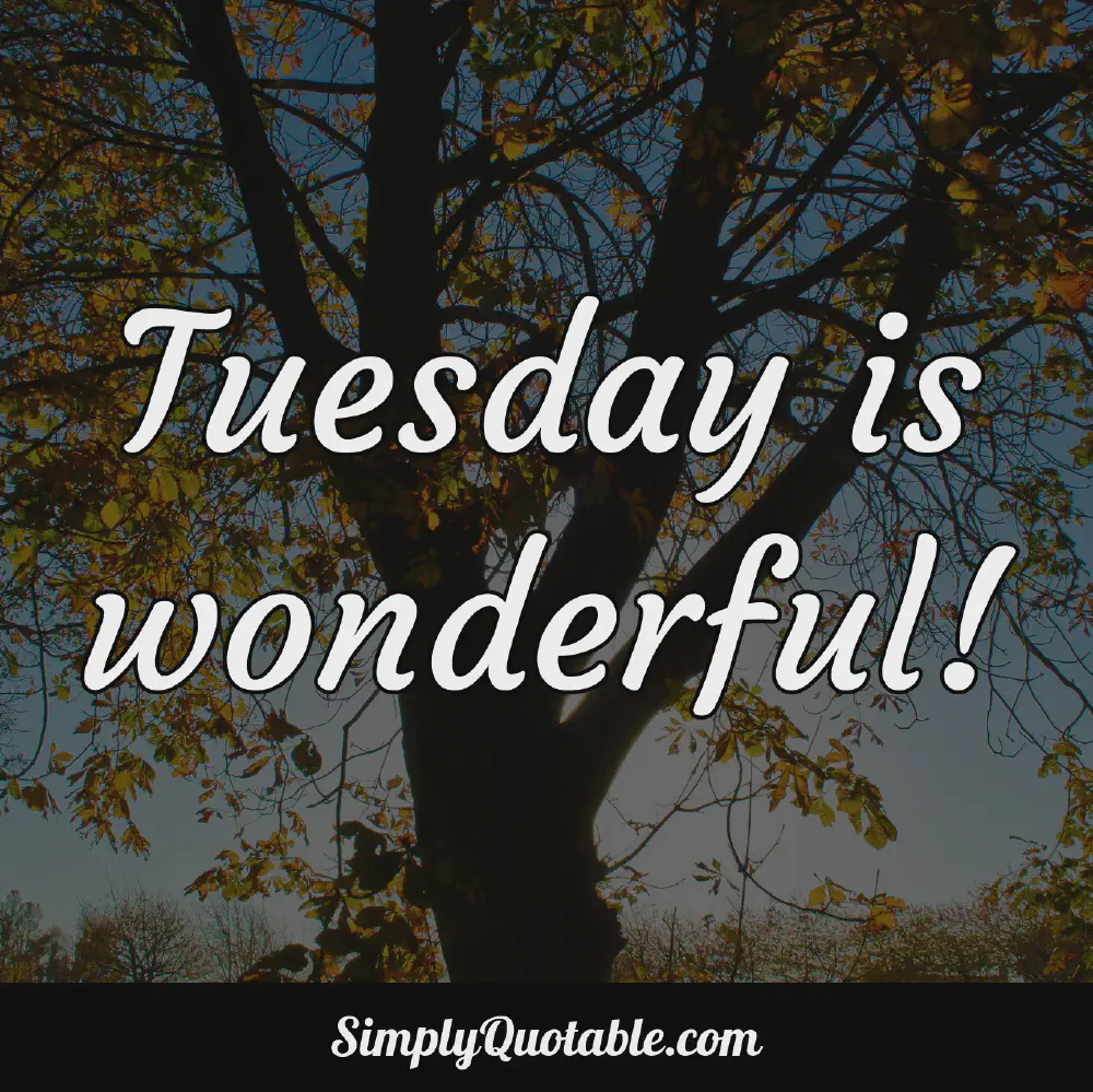 Tuesday is wonderful