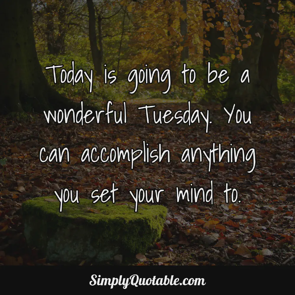 Today is going to be a wonderful Tuesday You can accomplish anything you set your mind to