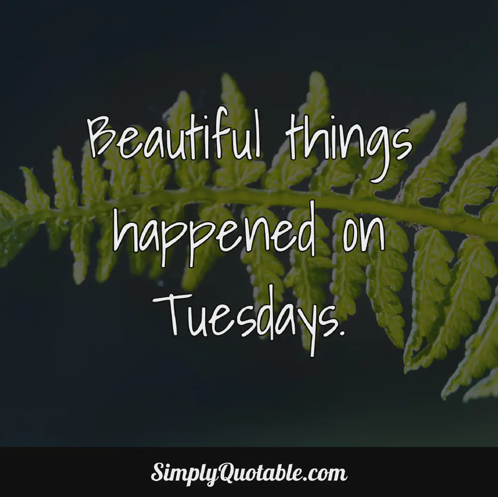 Beautiful things happened on Tuesdays