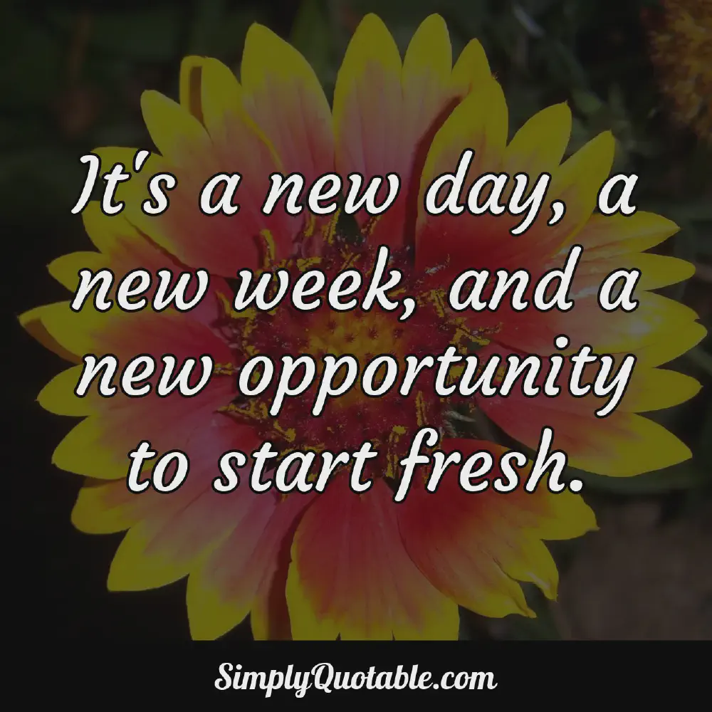 Its a new day a new week and a new opportunity to start fresh